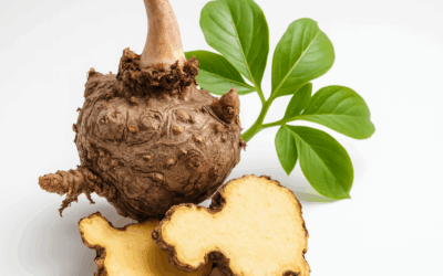 Kaj pravzaprav je konjak?